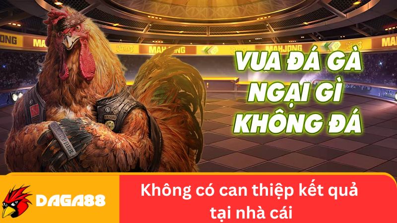 Không có can thiệp tại nhà cái