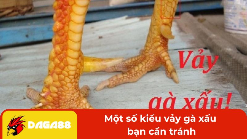 Một số kiểu vảy gà xấu bạn cần tránh