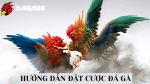 Hướng dẫn đặt cược đá gà tại DAGA88