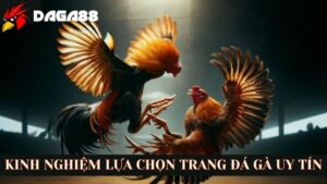 Kinh nghiệm lựa chọn trang đá gà trực tiếp uy tín 