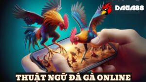 Nắm rõ các thuật ngữ đá gà online để tham gia chơi dễ dàng