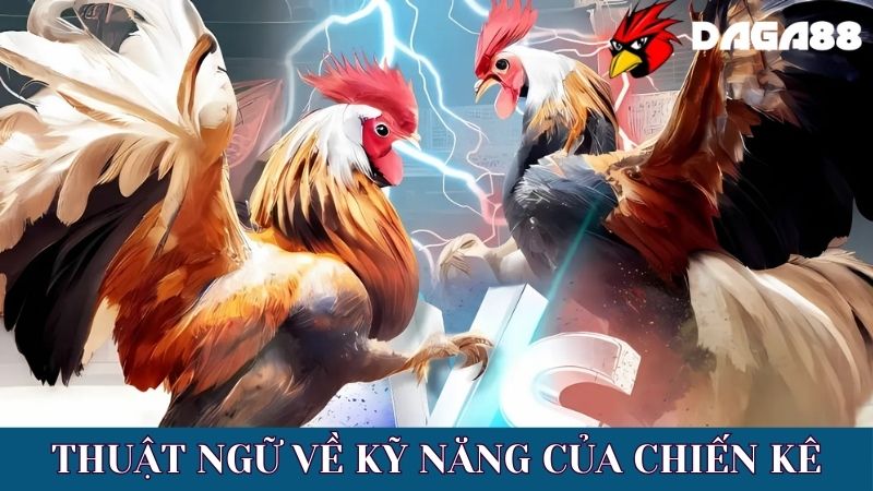 Nhận biết các thuật ngữ đá gà trong thi đấu về kỹ năng