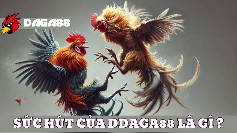 Tham gia đá gà tại DAGA88 có ưu điểm nổi trội nào?