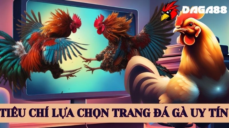 Tiêu chí chọn trang đá gà trực tiếp uy tín tại Việt Nam