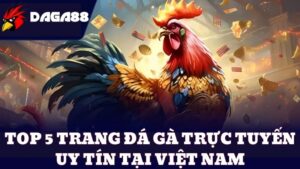 Top 5 trang đá gà Việt Nam uy tín hấp dẫn 